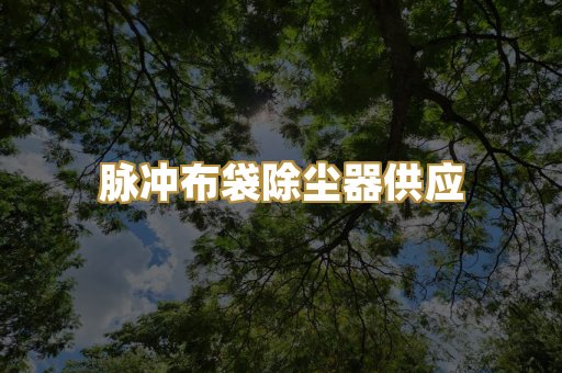 脉冲布袋除尘器供应