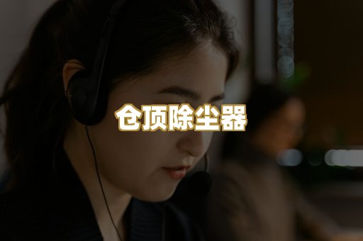 仓顶除尘器
